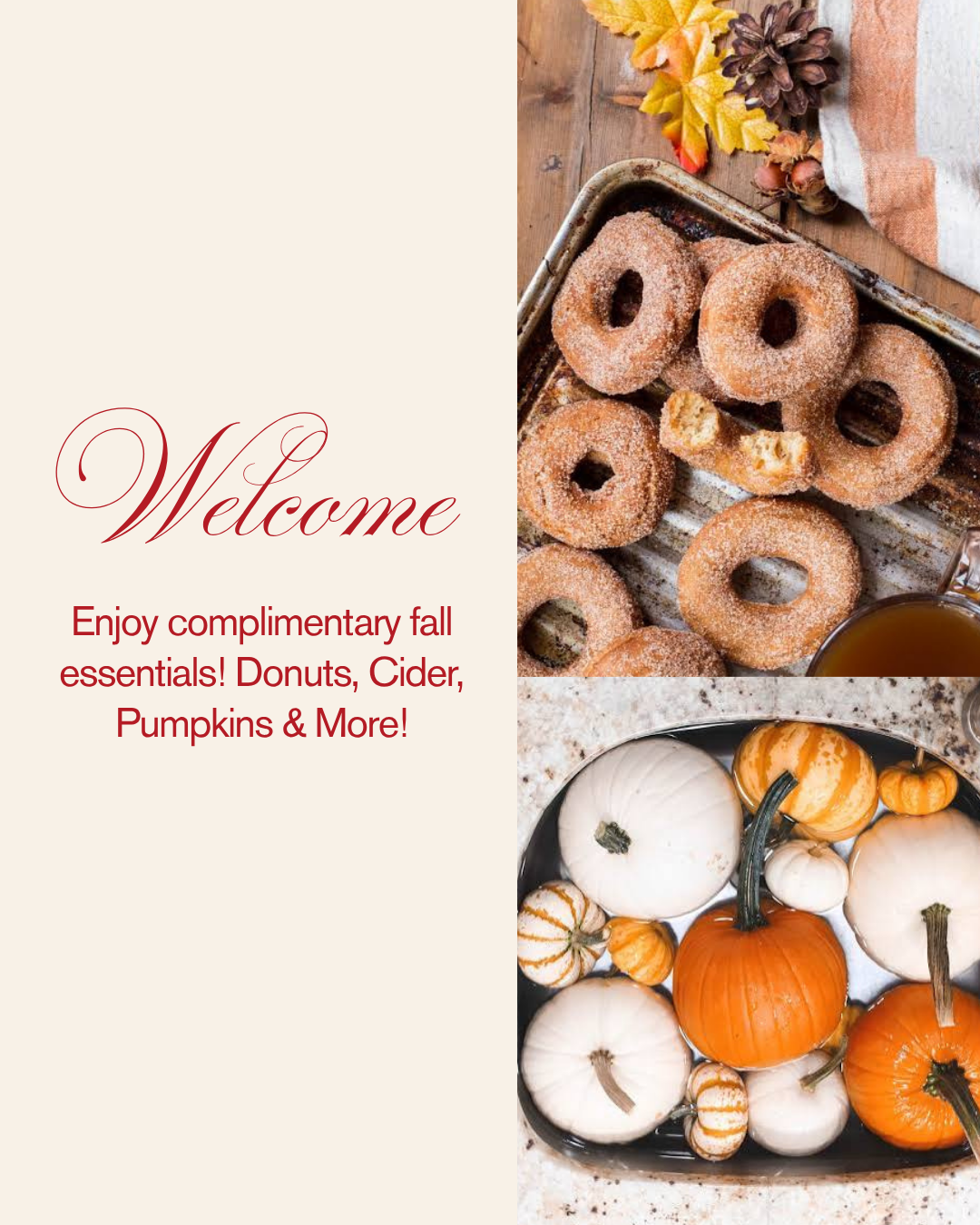 Soft & Sweet: Fall in Love Couples Day Retreat